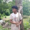 niloysharma06