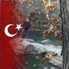 mehmetaslan3531