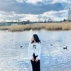 _aarakshya07