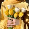 syedmurshid53