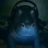 shlepa_089