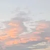 aless_iu