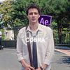 _cobraae_