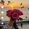 user197150216159