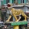 lintas_pedia