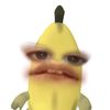 ricardoayala7955