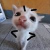 iiiijov8_