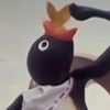 penguinsuc