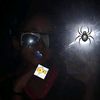 user70530336168332