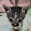earljohnfernandez4