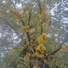 tshaaj.zoo