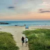 daisynguyen1234