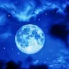 bluemoon_111_