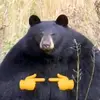 barnyrrr