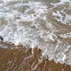 daniela_priivv14