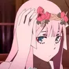 usersqql08r016