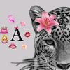 aisha.ibrahim.haa