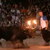 joseproyo