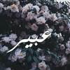 abeer123sayed