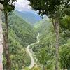 gjelbrimshala