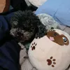 seba_2709