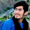 farhadzadran515