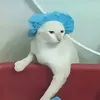 andiwupi