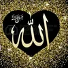 user6619940254481