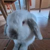 rezon_ay.live