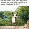 angelperez432032