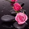 janetlayng1