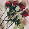 razan_620