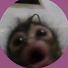 that.1.dumb.friend_