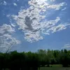 prince_142_17