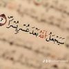 ashrafbzour8
