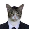 gatotastico9000