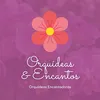 orquideaseencantos