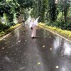 putrie237
