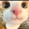 fotbe_13