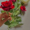 bu20_lyy