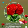 elgebalymohamady