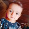 ali.bhai.7865