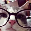 jjzhi_