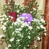 jean_aghdjduhx