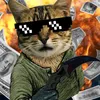 killercatpro