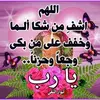 mesbahi.mohamde