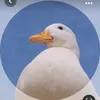 nast.wixs0