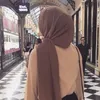 the_hijab_gull