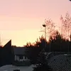 .sarnznzn...4573