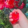 cute__girl67y